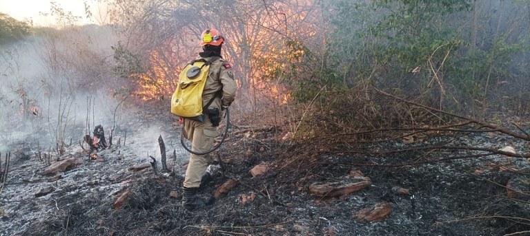 Força-tarefa foi montada para combater chamas que atingem parque - Foto: Reprodução