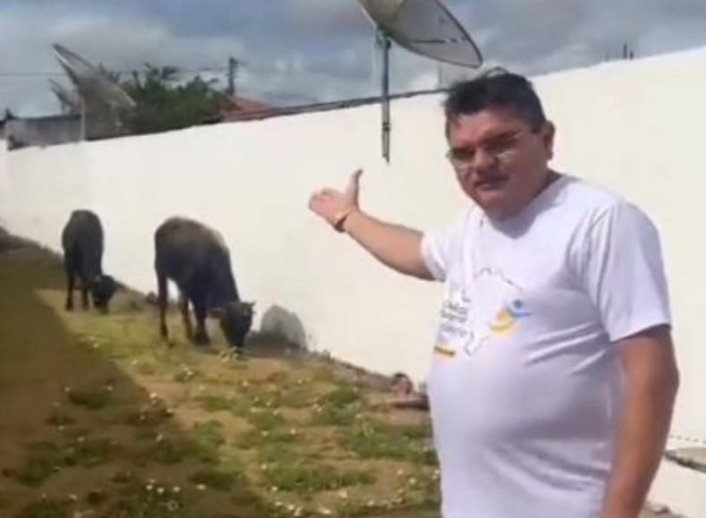 Prefeito questionou o fato de animais terem sido soltos no jardim da prefeitura - Foto: Reprodução