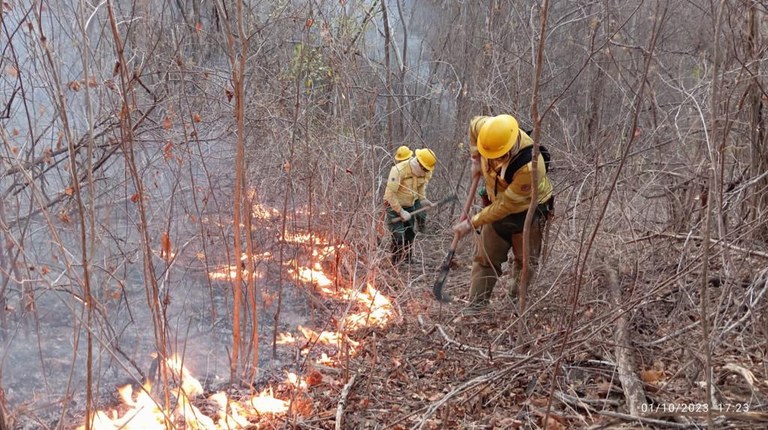 Força-tarefa já conseguiu conter principal foco das chamas na Serra da Santa Catarina - Foto: Reprodução