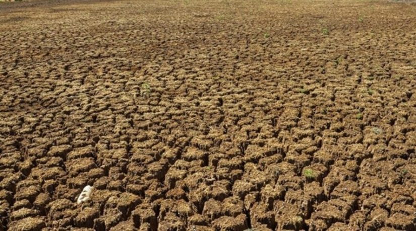 Governo Federal confirmou situação emergencial em 11 cidades paraibanas - Foto: Agência Brasil