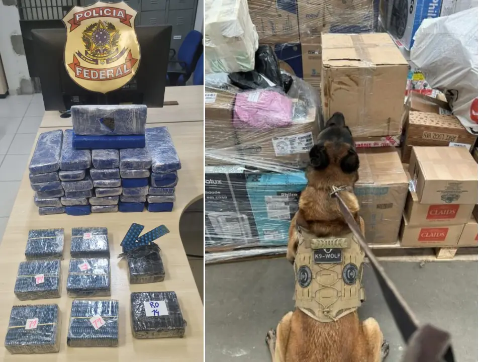 Polícia Federal apreende drogas e medicamento de venda proibida nos Correios na Paraíba