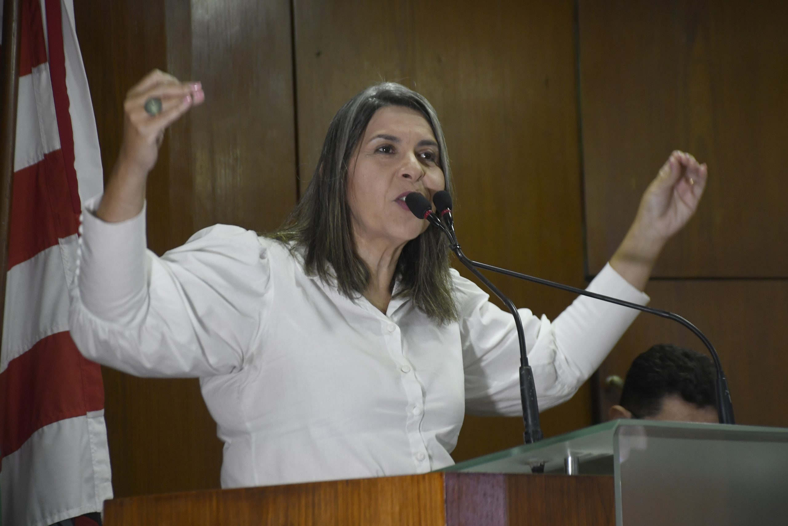 Deputada Eliza Virgínia (PP)