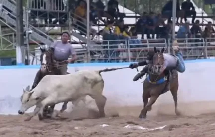 Deputado Walber Virgolino é derrubado de cavalo e sofre acidente em vaquejada na Paraíba